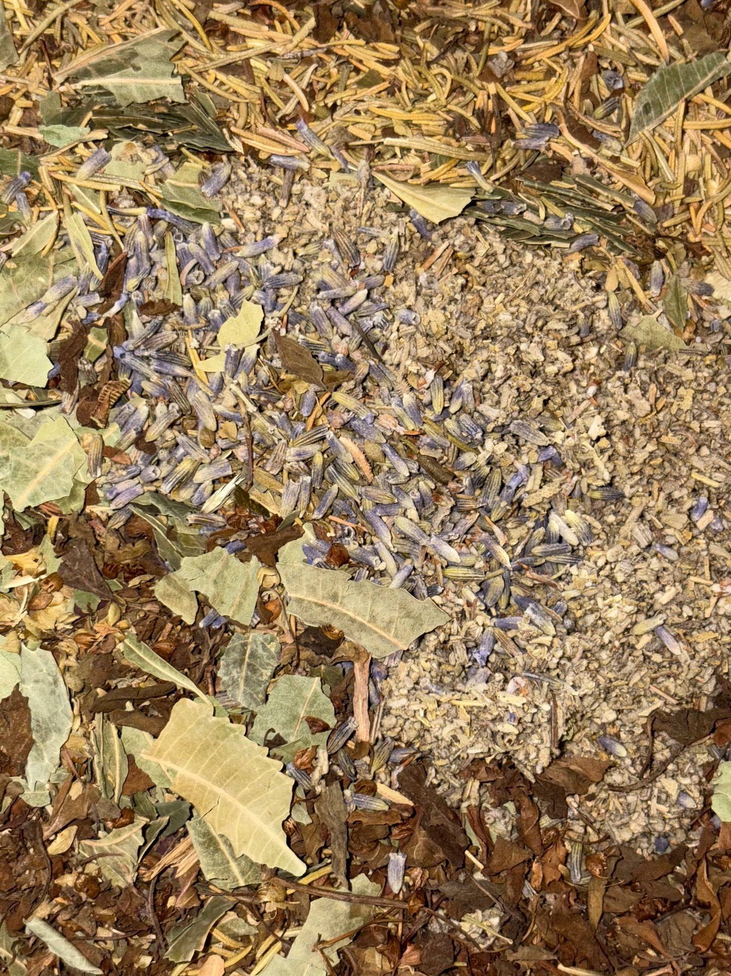 Anti Fungal Hair Oil